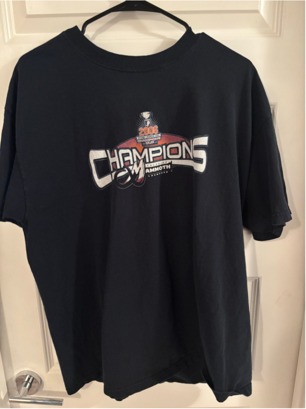 Vintage 2006 Colorado Mammoth National Lacrosse League Champions Cup XL